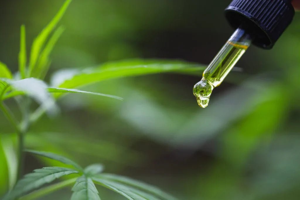 CBD Oil Labels - Stickerbeat.com